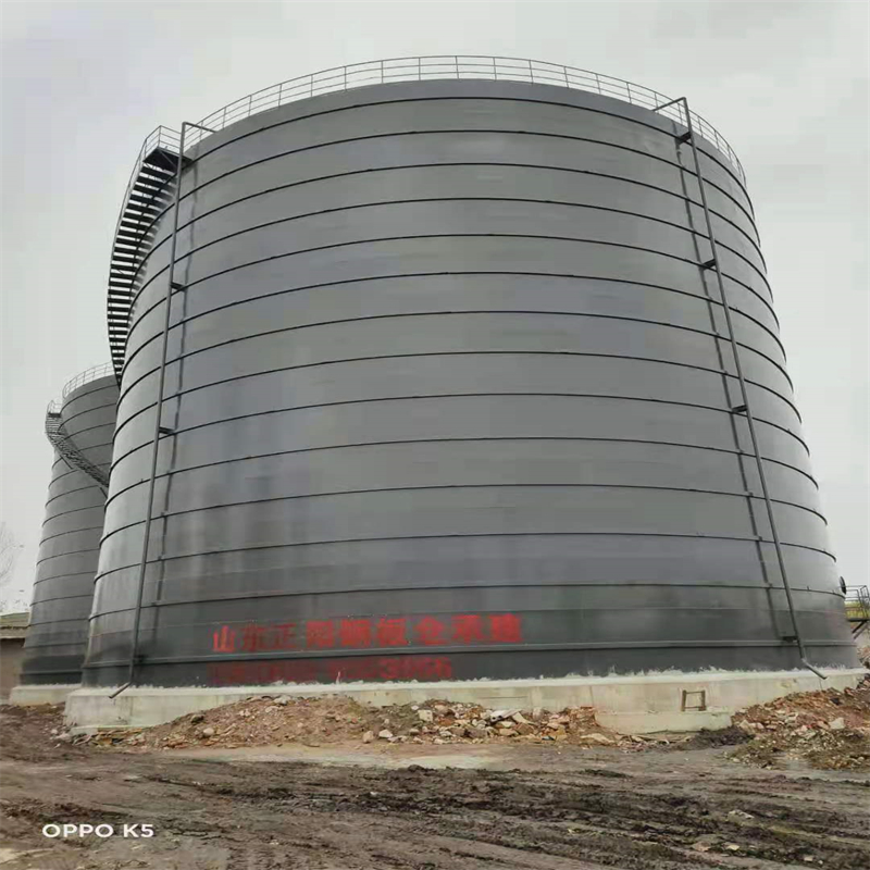 大田镇3万吨大型钢板库