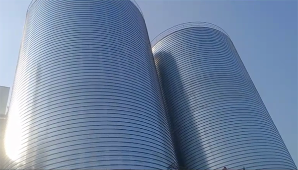 大田镇2座混凝土高架卷板仓